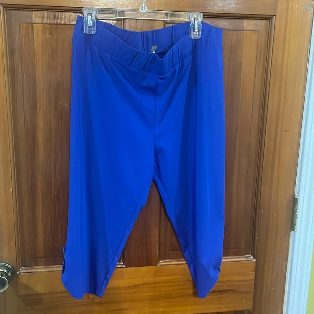 NWT Plus size Jesse & J Blue Capris Size 1X